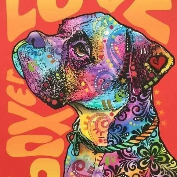 Meet your Posher, Katt - Picture 1 of 1